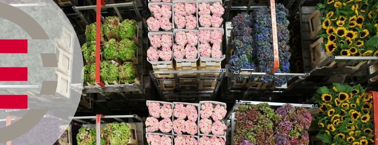 Top 4 Supply Chain Technologies for Better Floral Distribution
